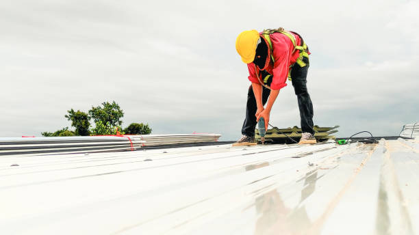 Best Storm Damage Roof Repair  in Mlstadt, IL