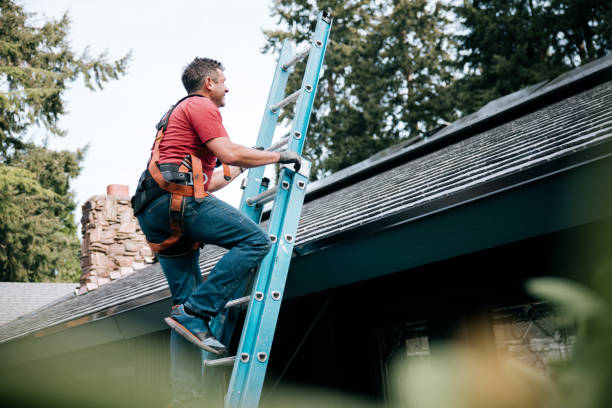 Best Asphalt Shingles Roofing  in Mlstadt, IL
