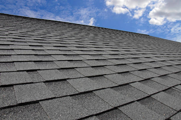 Best Skylight Installation and Repair  in Mlstadt, IL